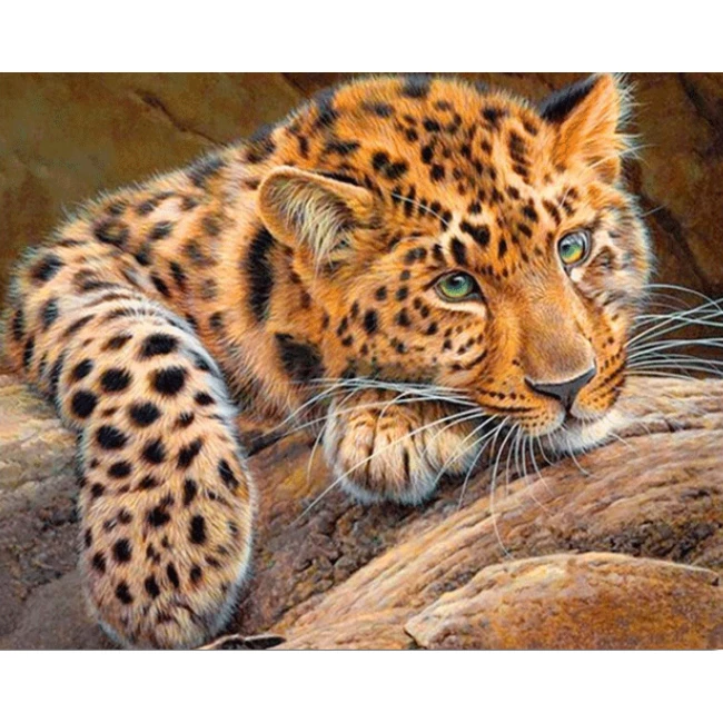 Diamond painting 40x50cm Leopard