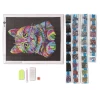 Diamond Painting 40x50cm Rainbow Cat